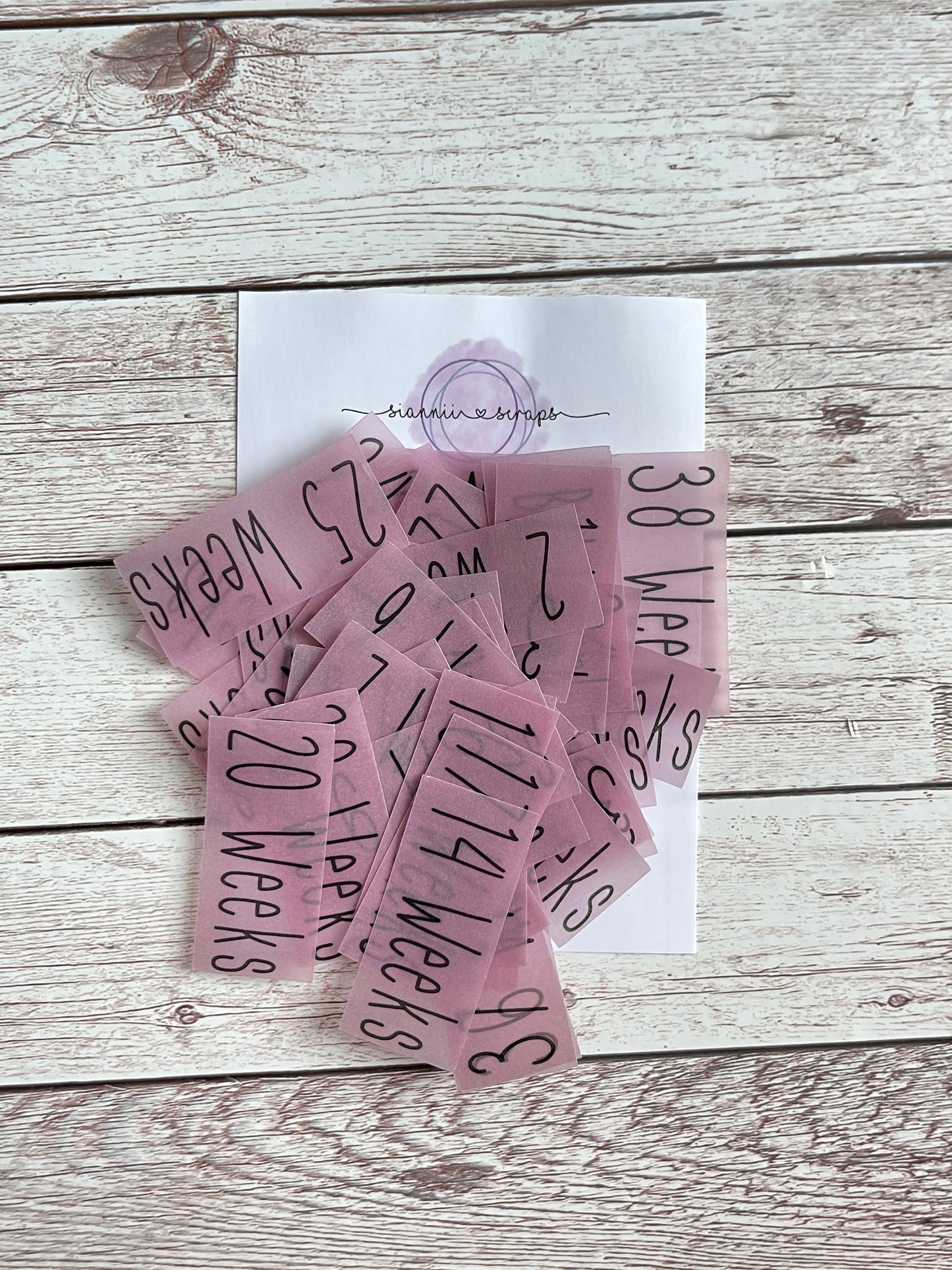 Baby Girl Pregnancy Milestone Vellum Die Cuts